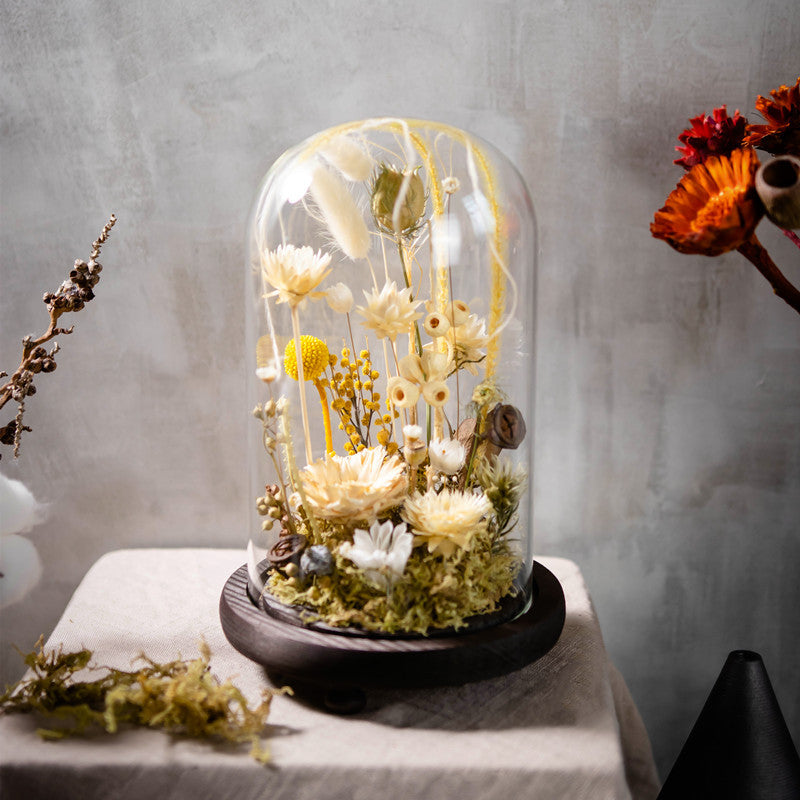 Floralium-Handmade Plant Dried Flower Flower Micro Landscape Glass Cover Home Furnishings PrestigePearls