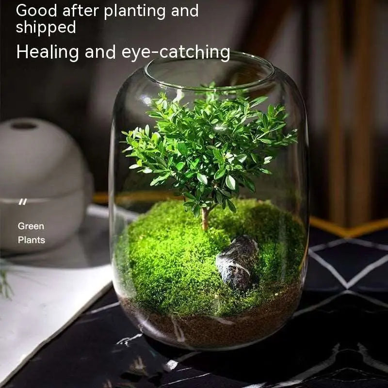 ArborGlow-Moss Micro Landscape Tree Of Life Desktop Glass Flower Container