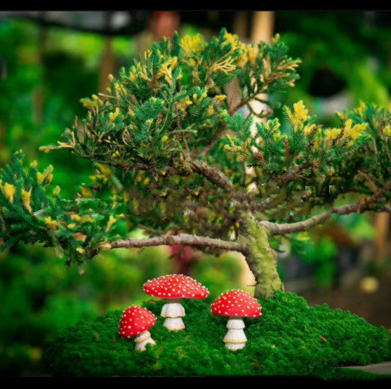 Garden Plant Luminous Mushroom Resin Ornaments PrestigePearls