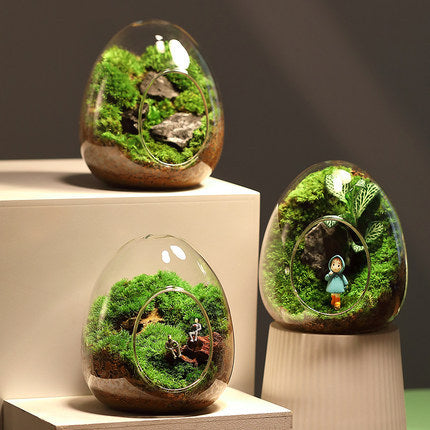 Terrariumia -Moss Landscaping Glass Container Micro Landscape Ecological Bottle PrestigePearls