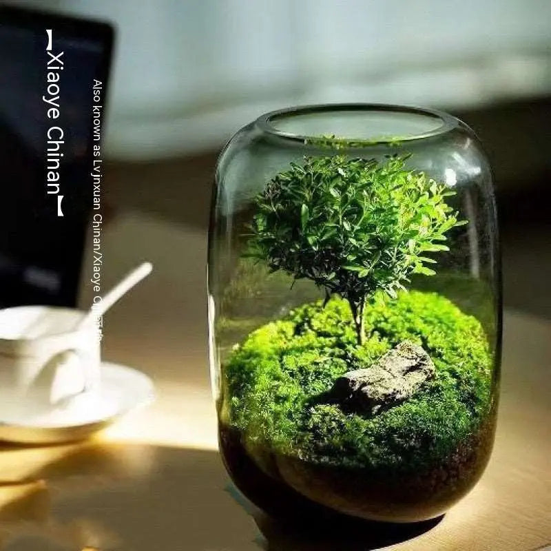 ArborGlow-Moss Micro Landscape Tree Of Life Desktop Glass Flower Container