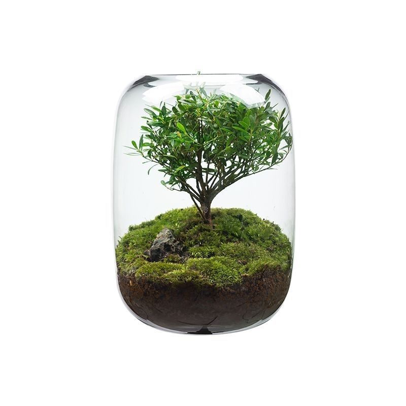 ArborGlow-Moss Micro Landscape Tree Of Life Desktop Glass Flower Container PrestigePearls